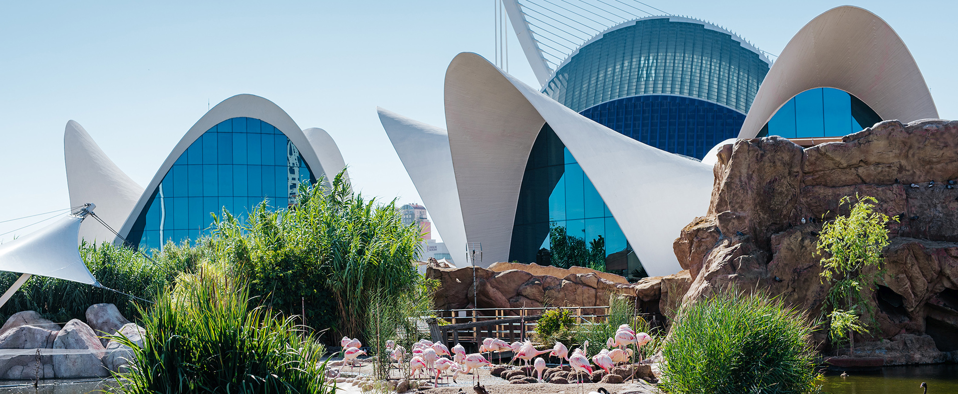 Wo man nahe dem Oceanografic Valencia uebernachtet